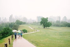 [타] 올림픽공원에서의 우중산책 - 삼성 Talk [타] 올림픽공원에서의 우중산책