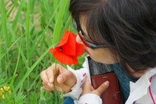 [nx] 꽃의 향기..? - 삼성 Talk [nx] 꽃의 향기..?