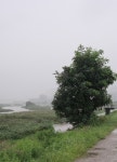 [nx300/18-55]불완전한 고독에 로긴하다... - 삼성 Talk [nx300/18-55]불완전한 고독에 로긴하다...