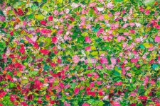 [J5, ... ] 잠이가 안 오는 밤 .. - 삼성 Talk [J5, ... ] 잠이가 안 오는 밤 ..
