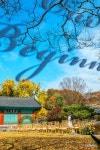 [S1,16-35] 향교의 가을 ... [BGM] - 삼성 Talk [S1,16-35] 향교의 가을 ...  [BGM]