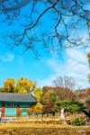 [S1,16-35] 향교의 가을 ... [BGM] - 삼성 Talk [S1,16-35] 향교의 가을 ...  [BGM]
