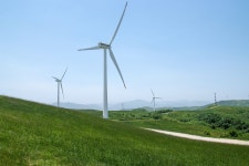 정확히 10년전 그날 대관령 양떼목장 사진 ... - 삼성 Talk 정확히 10년전 그날 대관령 양떼목장 사진 ...