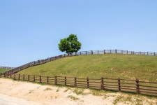 정확히 10년전 그날 대관령 양떼목장 사진 ... - 삼성 Talk 정확히 10년전 그날 대관령 양떼목장 사진 ...