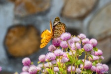 [S1, 24-105] ] 진주 & 진주냉면 ... [BGM] - 삼성 Talk [S1, 24-105] ] 진주 & 진주냉면 ... [BGM]