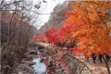 강천산 (剛泉山) 2012. 11. 10 - 삼성 Talk 강천산 (剛泉山) 2012. 11. 10