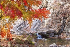 강천산 (剛泉山) 2012. 11. 10 - 삼성 Talk 강천산 (剛泉山) 2012. 11. 10
