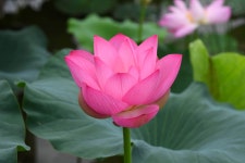 지난 여름 ... 그 공원의 풍경 - 삼성 Talk 지난 여름 ... 그 공원의 풍경