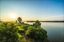 [a7+탐론17-35,캐논70-300] 안성천의 아침 - 소니 Talk [a7+탐론17-35,캐논70-300] 안성천의 아침