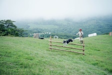 [A7R+55.8za] 박진감 넘치는 양 사진 -0- - 소니 Talk [A7R+55.8za] 박진감 넘치는 양 사진 -0-