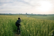 [a7r2] 안성 팜 농장 일출 - 소니 Talk [a7r2] 안성 팜 농장 일출