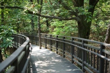 [a7m2/FE55.8Z] 운동도 할겸 개화산 둘레길 갔다왔습니다 ㅎㅎ - 소니 Talk [a7m2/FE55.8Z] 운동도 할겸 개화산 둘레길 갔다왔습니다 ㅎㅎ