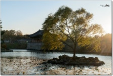 [A7R2]2470GM외, 경주 출사. - 소니 Talk [A7R2]2470GM외, 경주 출사.