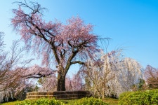 주말에 일본 갔다 왔습니다. ^^ - 팝코넷 | 베스트 게시판 주말에 일본 갔다 왔습니다. ^^