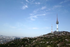 맑은날 남산 산책로.. - 소니 Talk 맑은날 남산 산책로..