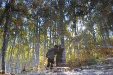 a7m3)원대리 자작나무숲에서 (12장) - 팝코넷 | 베스트 게시판 a7m3)원대리 자작나무숲에서 (12장)