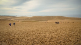 [A7M2 + 2470z] 돗토리 사구... - 팝코넷 | 베스트 게시판 [A7M2 +  2470z] 돗토리 사구...