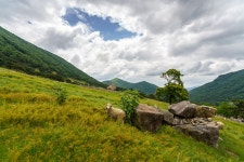 [A7M3] 양떼목장에서 - 소니 Talk [A7M3] 양떼목장에서