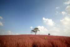 20191004 안성팜랜드 25장 - 소니 Talk 20191004 안성팜랜드 25장