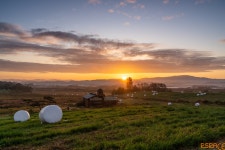 [A7r4+2875] 안개 없는 안성목장 일출 vol.2 - 팝코넷 | 팝게&톡 이슈게시판 [A7r4+2875] 안개 없는 안성목장 일출 vol.2