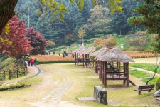 [A7R4, Z6, 1635GM, 70200GM] 용인 농촌테마파크 - 소니 Talk [A7R4, Z6, 1635GM, 70200GM] 용인 농촌테마파크