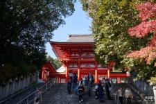 [a7R IV+Batis] 시가 오미 신사 - 팝코넷 | 팝게&톡 이슈게시판 [a7R IV+Batis] 시가 오미 신사