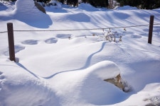 [a7R IV] 대관령 삼양목장 1 - 소니 Talk [a7R IV] 대관령 삼양목장 1