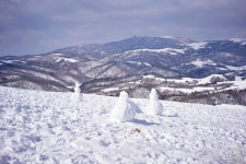 [a7R IV] 대관령 삼양목장 2 - 소니 Talk [a7R IV] 대관령 삼양목장 2