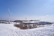 [a7R IV] 대관령 삼양목장 1 - 소니 Talk [a7R IV] 대관령 삼양목장 1