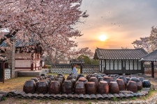 [a7r4, eos r] 예산 대흥동헌 일출 - 소니 Talk [a7r4, eos r] 예산 대흥동헌 일출