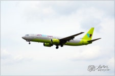 연휴 마지막 날, 김포 출사 - 소니 Talk 연휴 마지막 날, 김포 출사