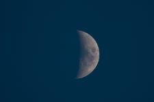 [A9|SIGMA 60-600mm] 순천만 - 팝코넷 | 팝게&톡 이슈게시판 [A9|SIGMA 60-600mm] 순천만