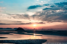 [A7R4, EOS R5] 강화 황산도 일출 출사 - 소니 Talk [A7R4, EOS R5] 강화 황산도 일출 출사