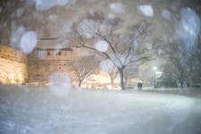 a99 미놀타 50.4) 수원화성 장안공원 눈내리던날..^^ - 소니 Talk a99 미놀타 50.4) 수원화성 장안공원 눈내리던날..^^