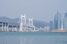 용호만 - 소니 Talk 용호만