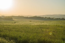 안성목장 산책,,, - 소니 Talk 안성목장 산책,,,