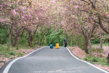 서산 문수사 - 소니 Talk 서산 문수사
