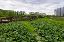 A7S3+20F1.8+75F1.8-항동 푸른수목원 - 소니 Talk A7S3+20F1.8+75F1.8-항동 푸른수목원
