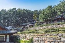 충남 여행 (죽도상화원, 옥마산 은하수, 서천 솔섬일몰) - 팝코넷 | 팝게&톡 이슈게시판 충남 여행 (죽도상화원, 옥마산 은하수, 서천 솔섬일몰)