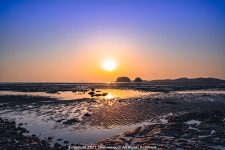 충남 여행 (죽도상화원, 옥마산 은하수, 서천 솔섬일몰) - 팝코넷 | 팝게&톡 이슈게시판 충남 여행 (죽도상화원, 옥마산 은하수, 서천 솔섬일몰)