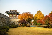 a99 미놀타 24-105)수원화성 장안공원의 가을.. - 소니 Talk a99 미놀타 24-105)수원화성 장안공원의 가을..