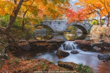 선운사 단풍 및 도솔천 장노출 - 팝코넷 | 팝게&톡 이슈게시판 선운사 단풍 및 도솔천 장노출