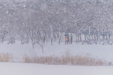 공원산책2 - 소니 Talk 공원산책2