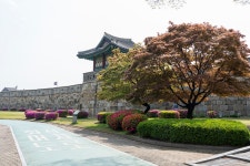 a7r3 fe24-105) 수원 장안공원의 봄.. - 소니 Talk a7r3 fe24-105) 수원 장안공원의 봄..