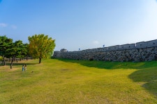 수원화성 은행나무... - 소니 Talk 수원화성 은행나무...