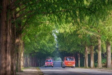 [α7Ⅳ+24105g] 아름다운 길 - 소니 Talk [α7Ⅳ+24105g] 아름다운 길