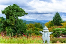 칠곡 가산수피아..... - 소니 Talk 칠곡 가산수피아.....