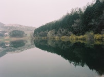 [645n + fa645 45-85 + Kodak Potra] 충남 서산 용비지에서... - 필름 Talk [645n + fa645 45-85 + Kodak Potra] 충남 서산 용비지에서...