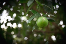 어제의 뻘사진. - 해외 Talk 어제의 뻘사진.