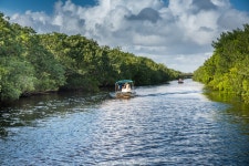 플로리다 마이애미를 1박 2일로 다녀왔습니다. - 해외 Talk 플로리다 마이애미를 1박 2일로 다녀왔습니다.